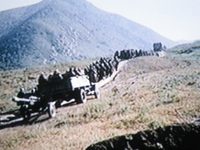     (1986) 
