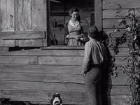   (1941) 
