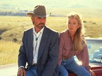   (1993)