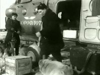    (1962) -  16