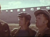     (1978) -  43