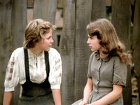   (1981) -  2