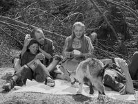   (1959) 
