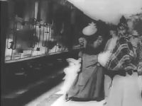     - (1896) -  8