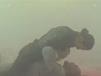   (2017)