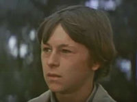    (1982) -  4