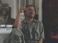   (1991)