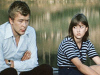    (1981)