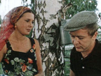    (1981)