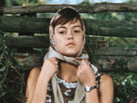    (1981)