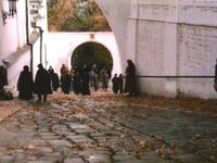    (1991)