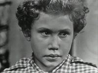      (1971)