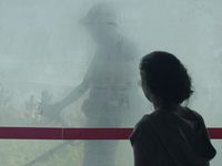  (2019) 
