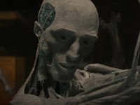   (2021) 

