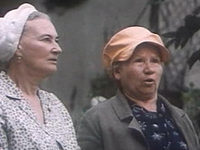    (1984)