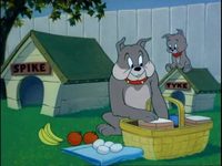  (1955) -  15