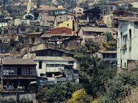   (1963) 
