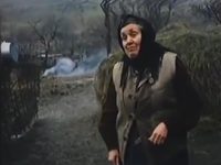     (1995)