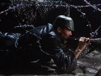  (1981) -  16