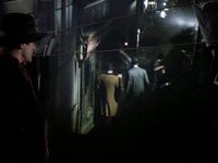  (1982)