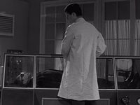   (1965)