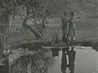  (1988) -  15