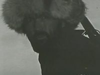 (1988)