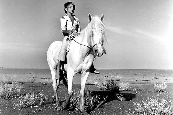   (1952)