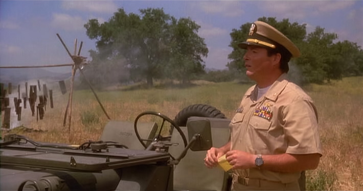   (1991)