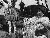 Комендант птичьего острова (1939) фотографии