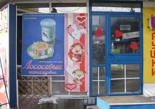  (2007)