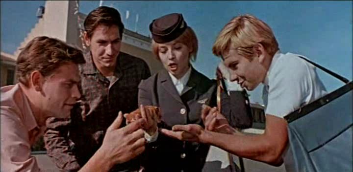   (1966)