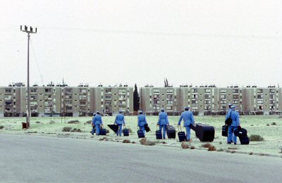   (2007)