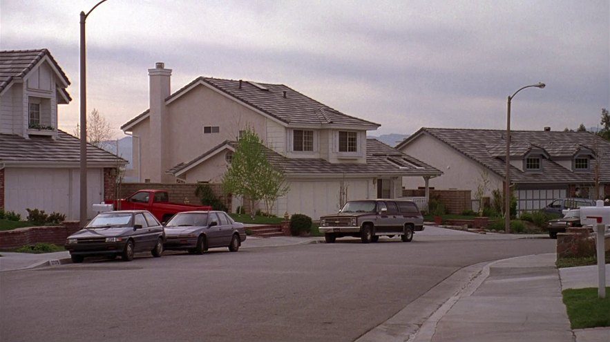    (1993)
