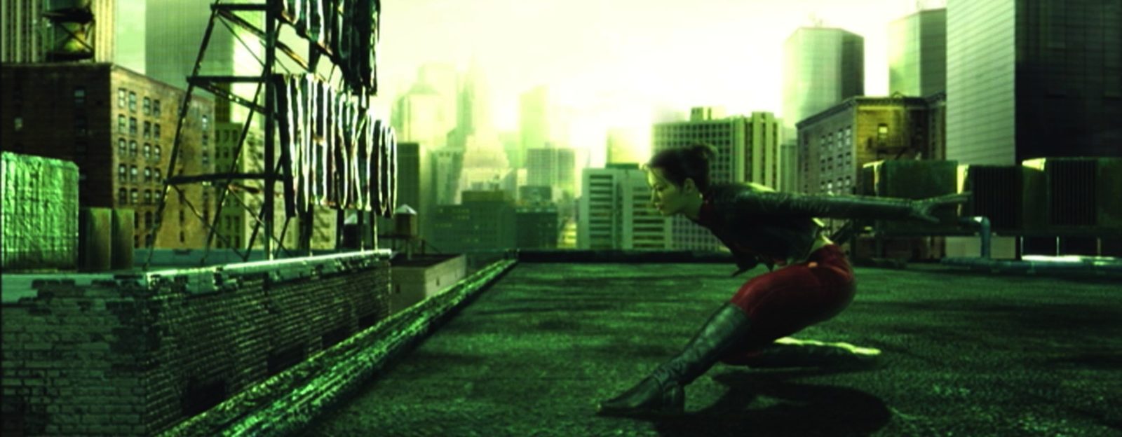  (2003)