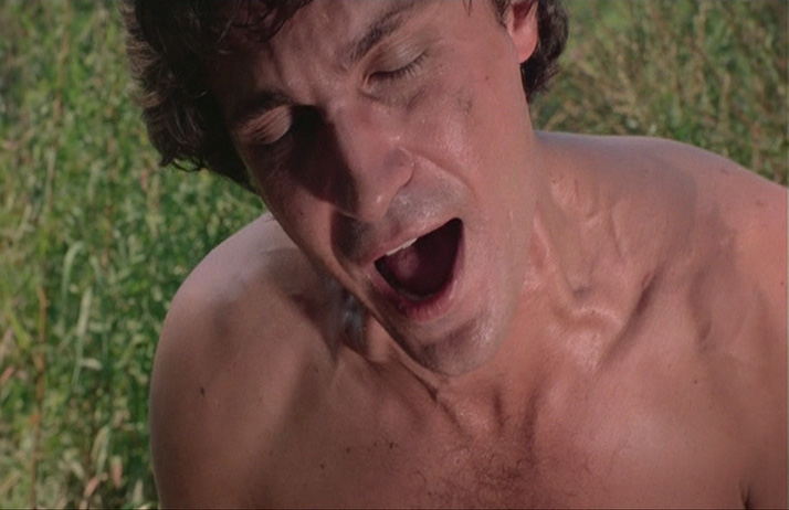   (1978)
