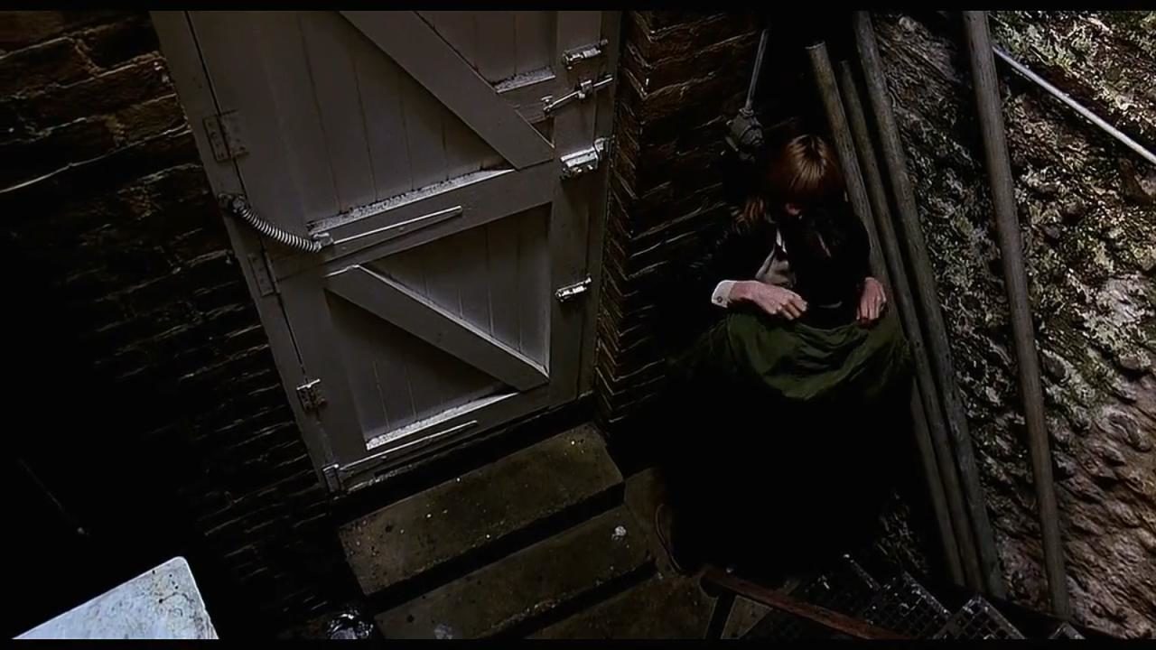  (1979)