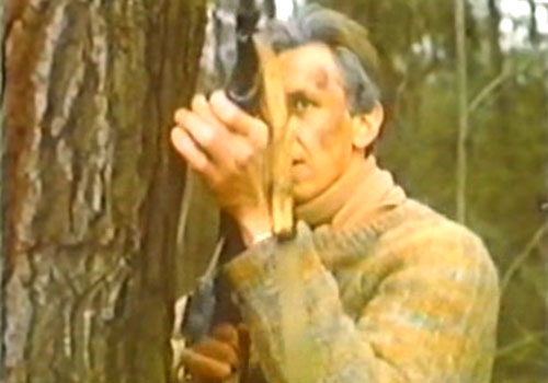 (1991)
