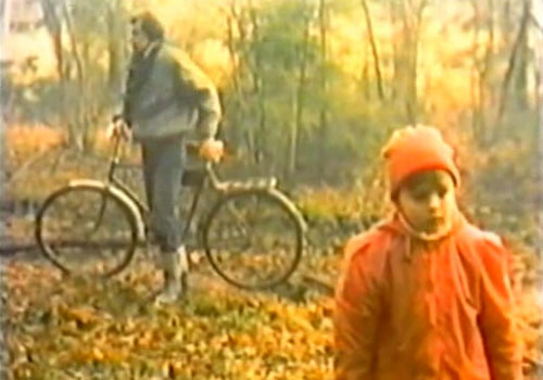  (1991)