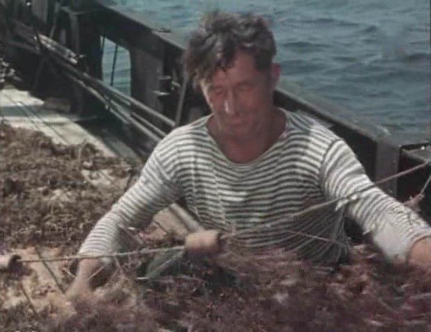   (1955)