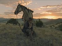     (2017) 
