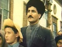    (1987)