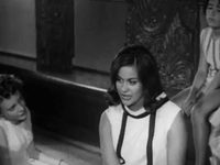  (1964) 
