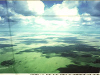   (2005) 
