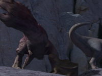  (2000) 
