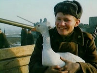    (1985)