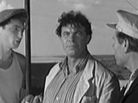   (1954) -  8
