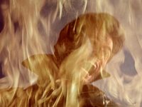   2 (1987) 
