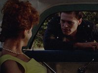  (1981)