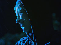   (2019) 
